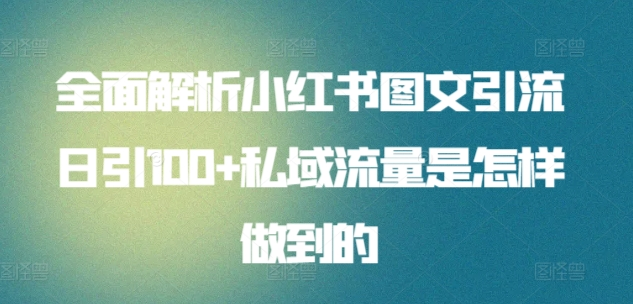 全面解析小红书图文引流日引100私域流量是怎样做到的青柠创客-网创项目资源站-副业项目-创业项目-搞钱项目青柠创客