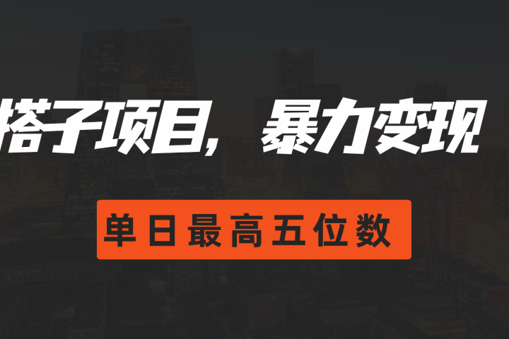搭子项目，暴力变现，单日最高破五位数青柠创客-网创项目资源站-副业项目-创业项目-搞钱项目青柠创客