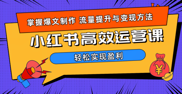 价值980小红书运营操作指南青柠创客-网创项目资源站-副业项目-创业项目-搞钱项目青柠创客