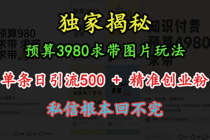 “小红书”预算3980求带 图片玩法，单条日引流500+精准创业粉，私信根本回不完青柠创客-网创项目资源站-副业项目-创业项目-搞钱项目青柠创客