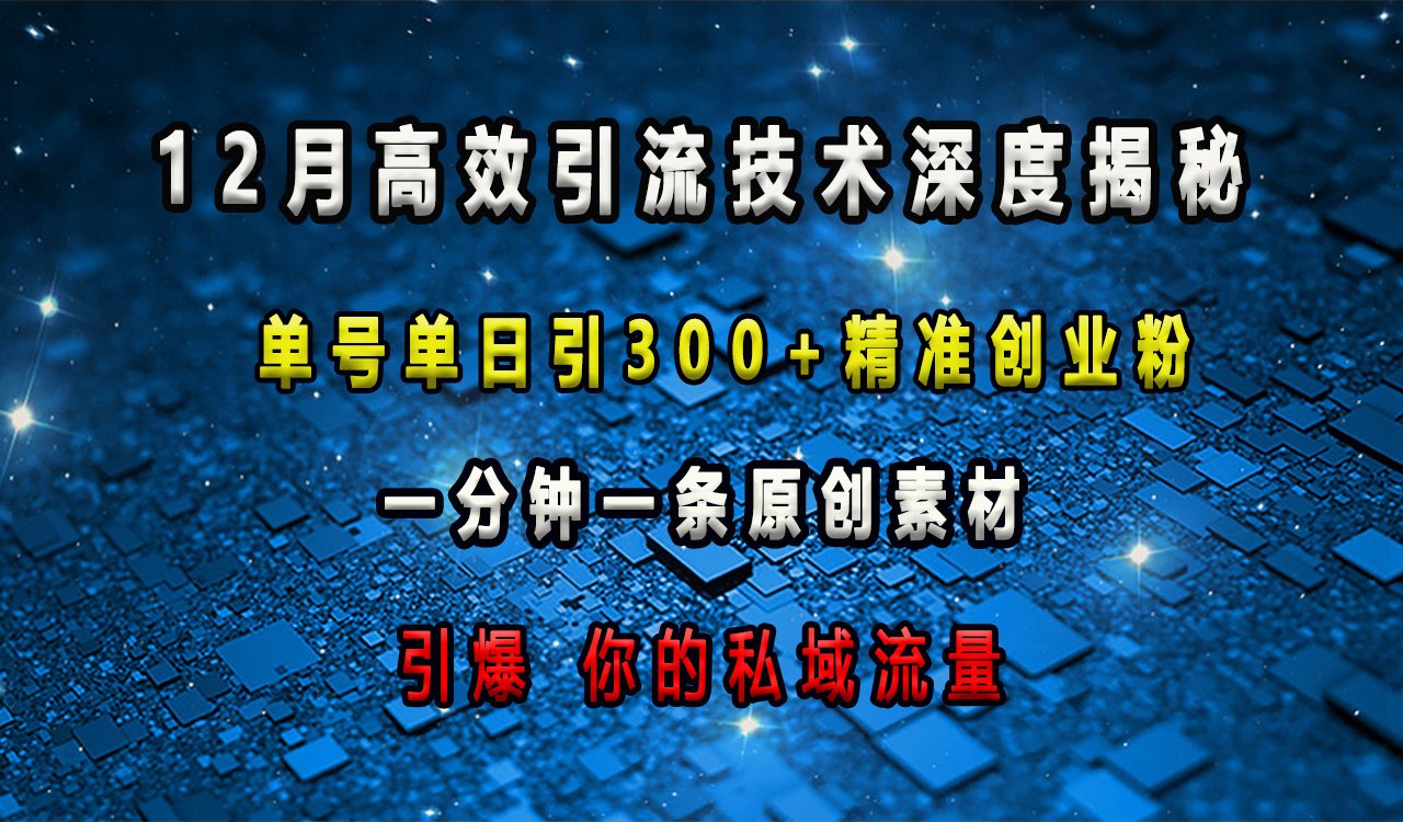 12月高效引流技术深度揭秘 ，单号单日引300+精准创业粉，一分钟一条原创素材，引爆你的私域流量青柠创客-网创项目资源站-副业项目-创业项目-搞钱项目青柠创客