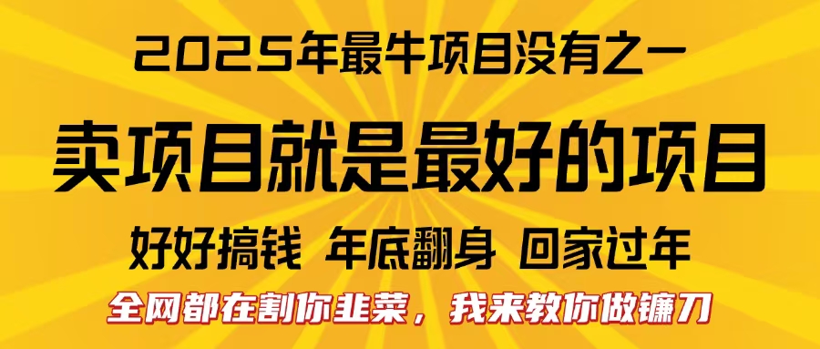全网都在割你韭菜，我来教你做镰刀。卖项目就是最好的项目，2025年最牛互联网项目青柠创客-网创项目资源站-副业项目-创业项目-搞钱项目青柠创客