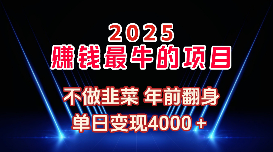 2025年赚钱最牛的项目 不做韭菜 年前翻身青柠创客-网创项目资源站-副业项目-创业项目-搞钱项目青柠创客