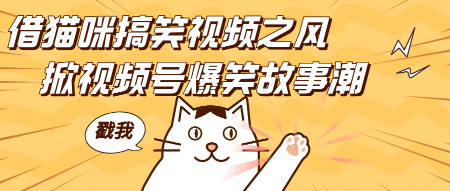借猫咪搞笑视频之风,掀视频号爆笑故事潮,轻松日赚四位数,开启无门槛赚钱新体验!青柠创客-网创项目资源站-副业项目-创业项目-搞钱项目青柠创客
