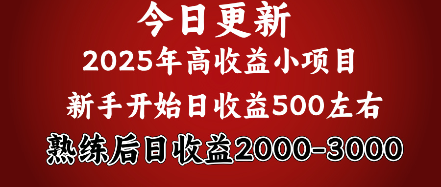 2025开年好项目，新手日收益500+ 熟练掌握后，日收益平均2000多青柠创客-网创项目资源站-副业项目-创业项目-搞钱项目青柠创客