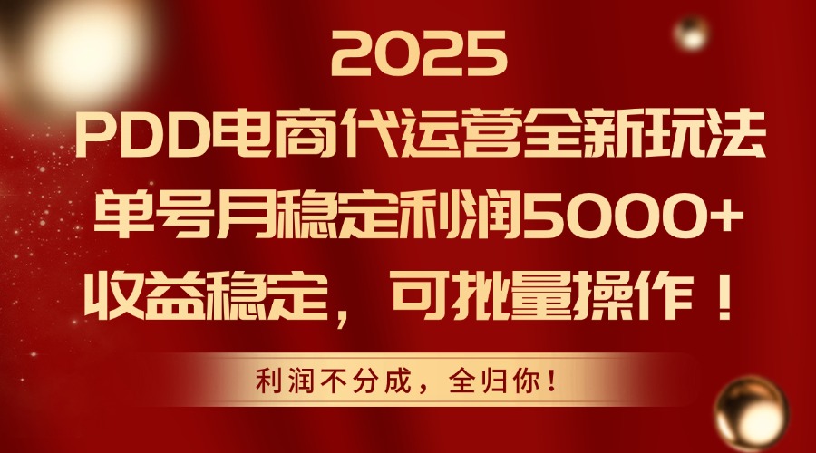 2025 PDD电商代运营全新玩法，单号月稳定利润5000+，收益稳定，可批量操作！青柠创客-网创项目资源站-副业项目-创业项目-搞钱项目青柠创客