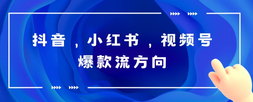 抖音，小红书，视频号爆款流视频制作，简单制作掌握流量密码青柠创客-网创项目资源站-副业项目-创业项目-搞钱项目青柠创客