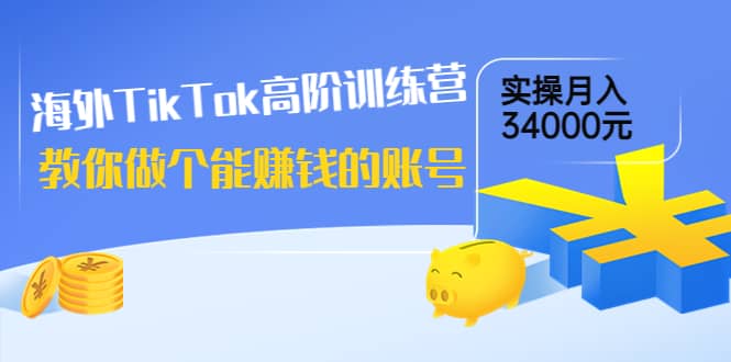海外TikTok高阶训练营：教你做个能赚钱的账号，实操月入34000元！青柠创客-网创项目资源站-副业项目-创业项目-搞钱项目青柠创客
