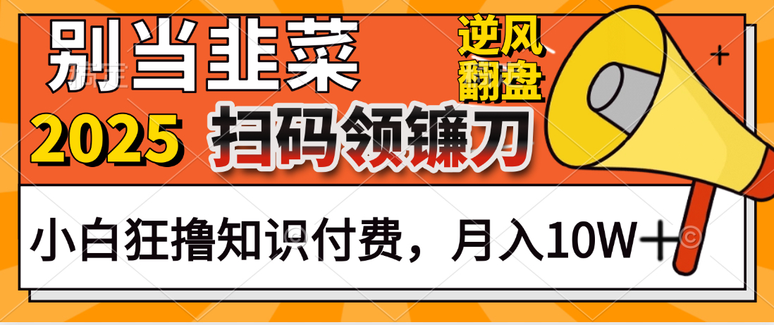 2025别当韭菜！扫码领镰刀！小白狂撸知识付费月入10W+青柠创客-网创项目资源站-副业项目-创业项目-搞钱项目青柠创客